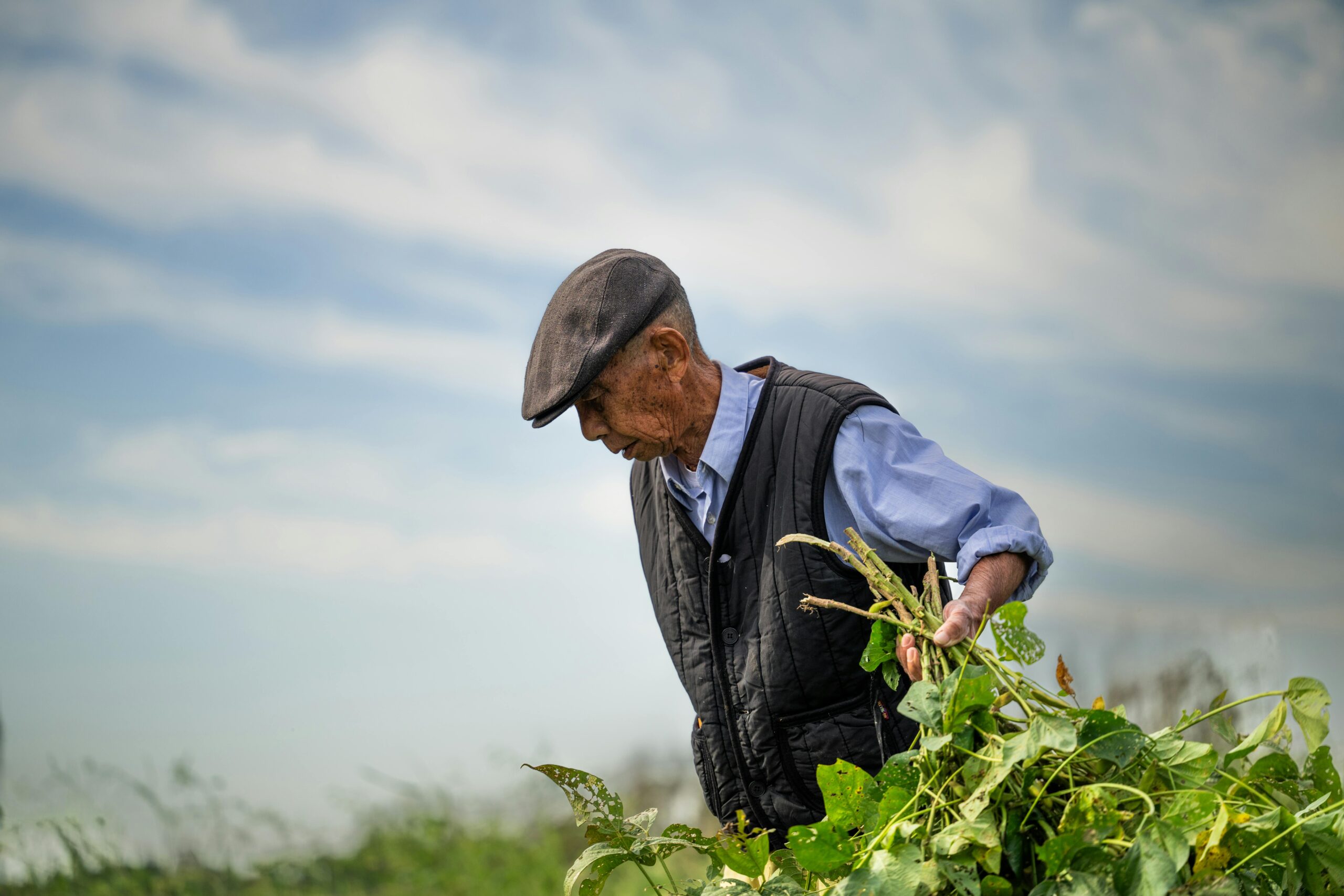 Lavoro povero e tagli ai servizi, per Vivarelli le aree interne abruzzesi sono al collasso